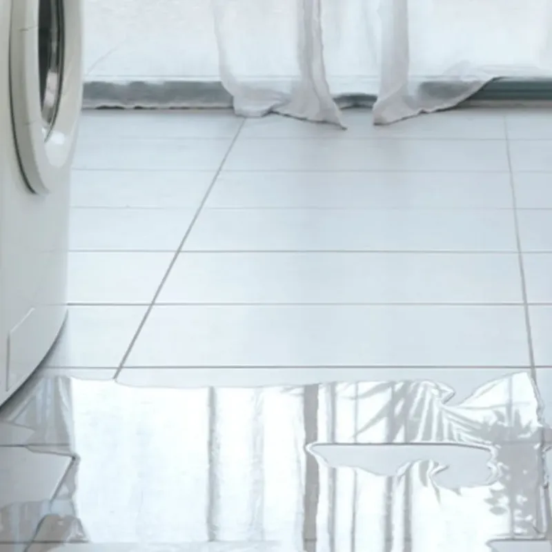 Appliance Leak Cleanup in South Barrington, IL