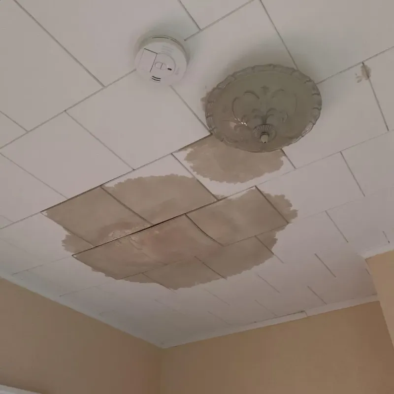 Ceiling Water Damage Repair in South Barrington, IL