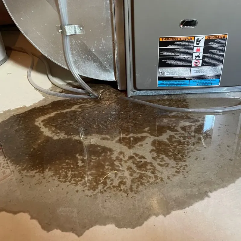 Pipe Burst and Leak Restoration in South Barrington, IL